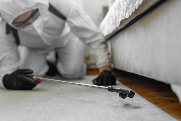 Professional Termite Control technician working in Richmond, MN