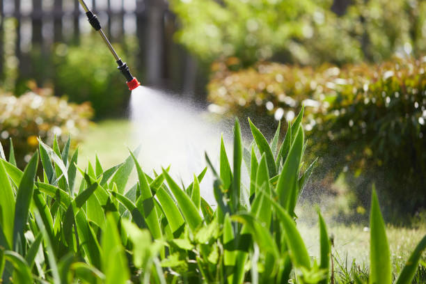 24/7 Emergency Termite Control experts in Richmond, MN