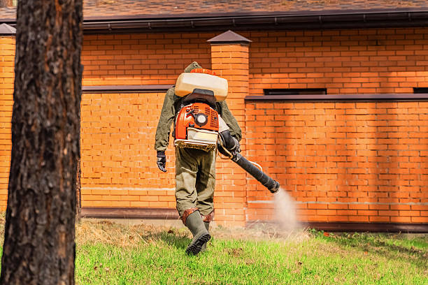 Trusted Bed Bug Control service in Richmond, MN - Nex Pest Control